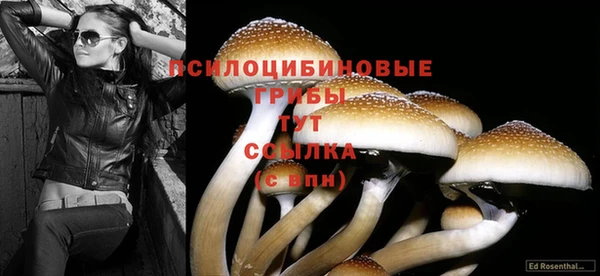 амфетамин Бугульма
